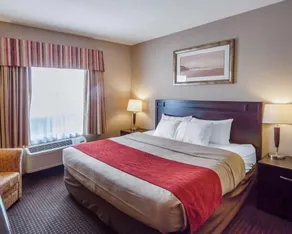 COMFORT INN AND SUITES - Image 2