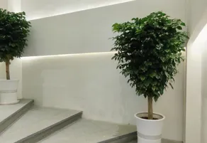 Bomei Business Apartment (Dongguan Qingxi Sanzhong Road Branch) - Image 4