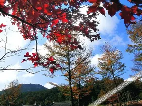Shanglianggang Tourist Resort Hotel Fenghua - Image 2