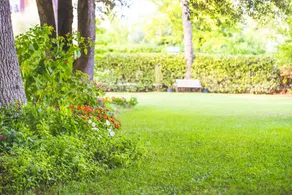 B&B Il Girasole - Image 5