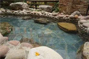 Lvbao Lezhi Hot Spring Hotel - Image 5