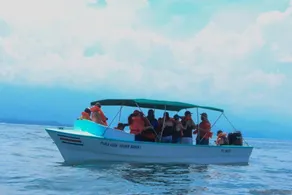 Ballena Paraiso - Image 2