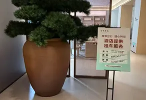 Baiyi Hotel (Luoyang Luoyi Ancient City Qiming South Road Subway Station Store) - Image 3