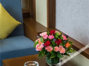 Yahaomeiji Hotel (Film and Television Building Jishou University) - Image 3
