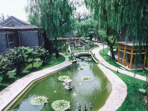 Dragon Spring - Image 4