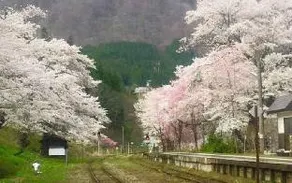 Fujinoyu Ebisuya - Image 3