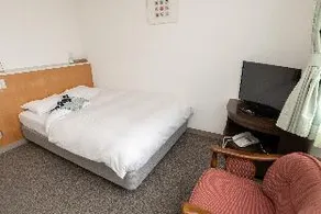 Shibata New Hotel Plaza - Image 4