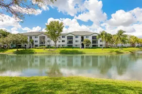 Tucker at Palm Trace Landings Fort Lauderdale - Image 2