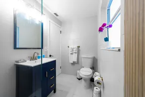 The Blue Parrot - Image 4