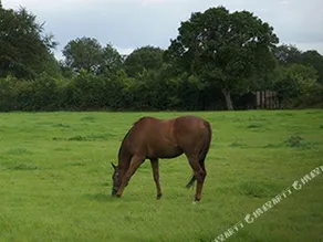 Bansha House - Image 4