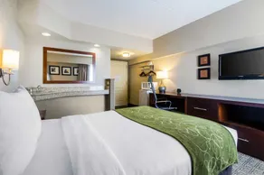 Comfort Suites at Woodbridge - Image 4