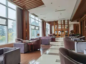 the Peninsula Hotel - Image 4