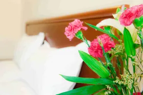 Green Tree Inn Jinghu High-Speed Rail No - Image 3