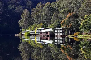 RAC Karri Valley Resort - Image 3