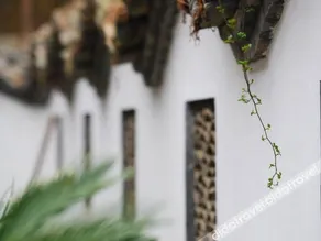Ziwei Mountain Villa - Image 3