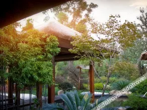 Punk Ballet Ins Hotel (Changzhou Dinosaur Park) - Image 3