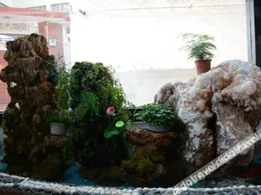 Boutique Hotel - Image 5