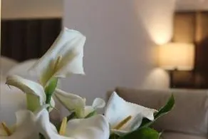Riva Boutique - Image 2