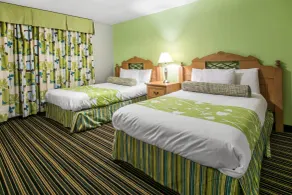 Rodeway Inn & Suites Winter Haven Chain of Lakes - Chambre