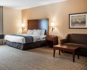 Comfort Inn & Suites Hamburg - Buffalo South - Chambre