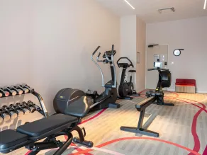 Mercure Toulouse Sud - Gym