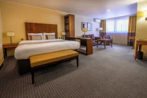 Regency Park Hotel, Health Club & Spa - Habitación