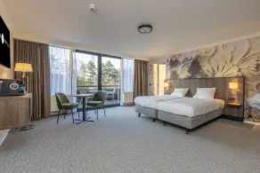 Fletcher Familiehotel De Hunzebergen - Chambre