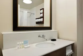 Hampton Inn Wichita Falls Sikes Senter Mall - Salle de bain