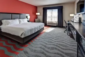 Holiday Inn Express & Suites Wichita Northwest by IHG - Værelse