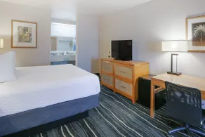 Ramada by Wyndham Costa Mesa/Newport Beach - Chambre