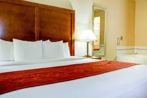 Comfort Inn Newport - Chambre