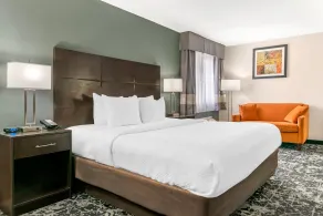 Quality Inn Grand Rapids South-Byron Center - Room