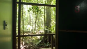 Daintree Crocodylus - Ausblick vom Zimmer