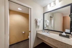 Sleep Inn & Suites Green Bay South - Badrum