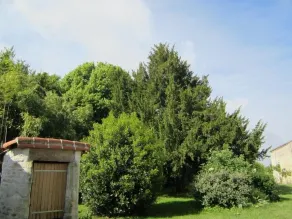 Maison d'hotes Les Cagouilles - Utsikt från rummet
