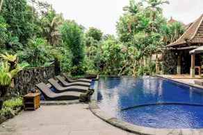 Dewangga Ubud - Pool