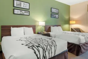 Sleep Inn & Suites Port Charlotte-Punta Gorda - Chambre
