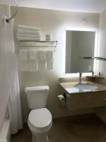 Country Inn & Suites by Radisson, Grandville-Grand Rapids West, MI - Salle de bain