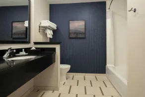 Fairfield Inn & Suites by Marriott Santa Cruz - Salle de bain