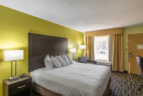 Clarion Inn Columbia Airport - Chambre