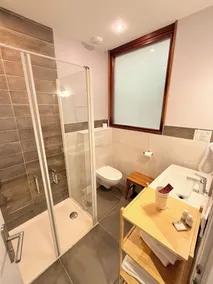 Hotel Des Alpes - Bagno