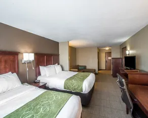 Comfort Suites Columbia - University Area - Chambre