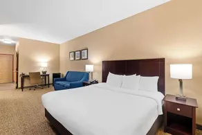 Comfort Suites Roanoke - Fort Worth North - Chambre