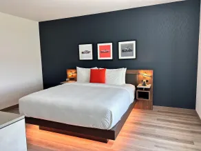Cambria Hotel Northlake Conference Center - Roanoke - Chambre