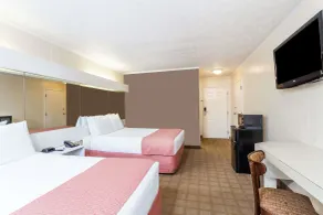 Microtel Inn by Wyndham Wilson - Chambre
