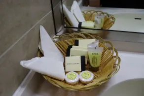 GSS Palace Hotel - Bathroom