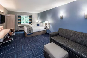 Microtel Inn & Suites - Greenville - Chambre