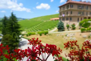 Villaggio Narrante - Le Case dei Conti Mirafiore - Habitación