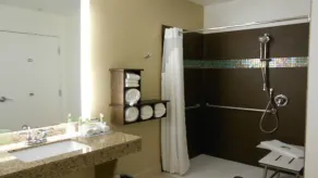 Holiday Inn Express Pocatello by IHG - Værelse