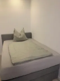 Apartments Mitte Messe und Zentrum Heistersteg - Room
